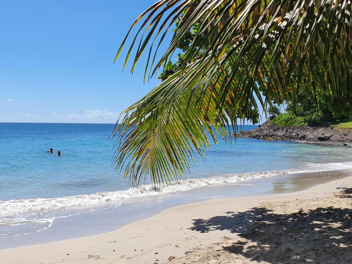 Ti Oasis Trinidad, Studio Vue Mer A Pierre & Vacances Sainte-Luce Exterior photo
