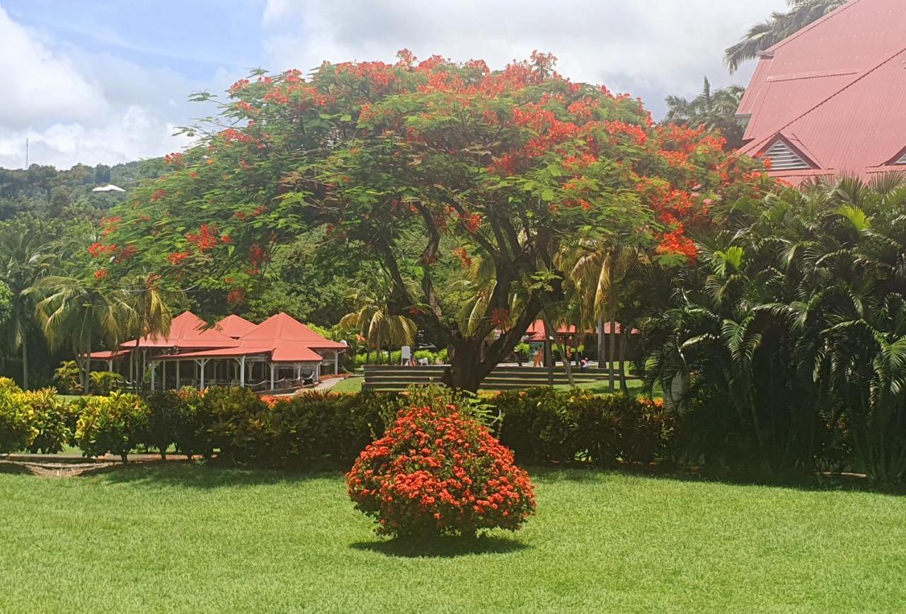 Ti Oasis Trinidad, Studio Vue Mer A Pierre & Vacances Sainte-Luce Exterior photo